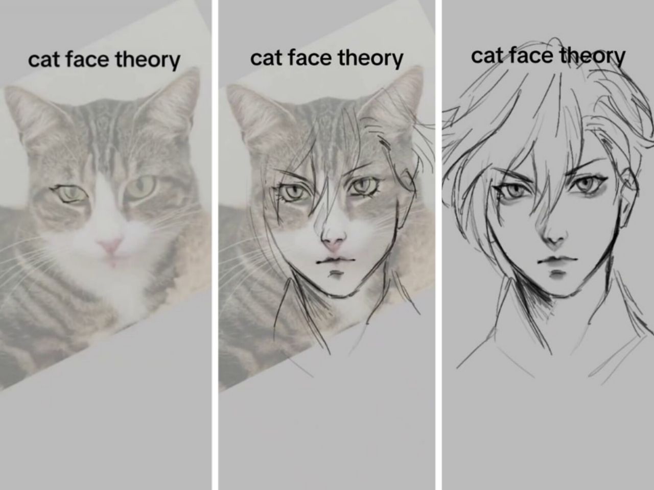 Что за теория cat face в аниме. Художники рисуют героев аниме по фото котов