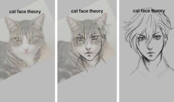 Художники тестируют теорию «кошачьего лица». Проверяют, можно ли нарисовать аниме-героя по фото кота