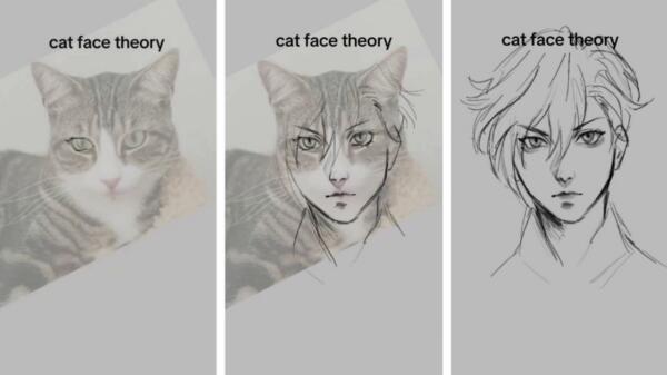 Художники тестируют теорию "кошачьего лица". Проверяют, можно ли нарисовать аниме-героя по фото кота