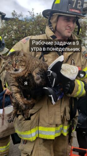Кот с пожарником из Мичигана