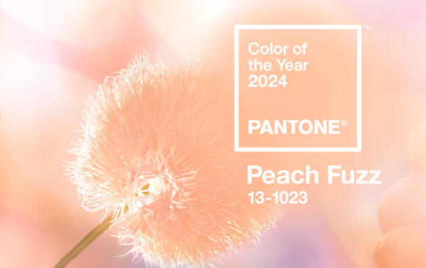Pantone объявил цвет "персикового пуха" цветом 2024 года. Как бренды обыграли это решение