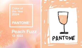 Pantone объявил цвет «персикового пуха» цветом 2024 года. Бренды обыграли выбор в ироничном тренде