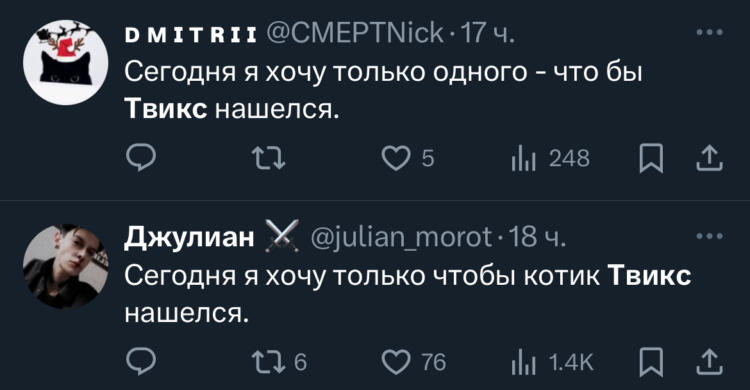 История кота твикс и проводницы