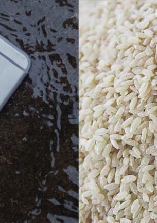 Apple запрещает класть мокрый айфон в рис. Рекомендации для тех, кто уронил смартфон в воду