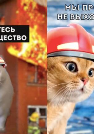 Тикток МЧС Беларуси покорил интернет. На мемных видео о пожаре и гололедице предупреждают коты