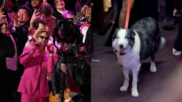 Чем запомнился «Оскар-2024». Голый Джон Сина, пёс Месси в бабочке и Райан Гослинг в образе Кена